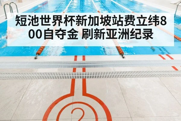 swimming pool race lanes